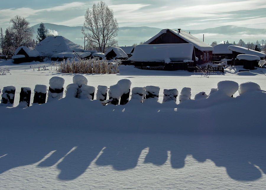 Tree Photograph - The Fence Is Covered With Snow And The Shadows From It by Sergey Giviryak