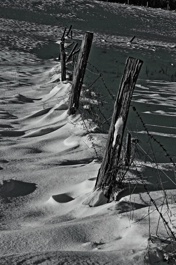 The Fence Line Photograph by Daniel Koglin