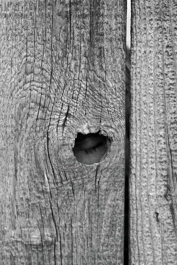 Fence Photograph - The Fence That Sleeps by Douglas Barnett
