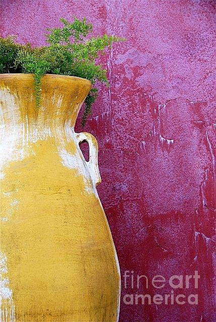 Vase Photograph - Fern by Lori Leigh