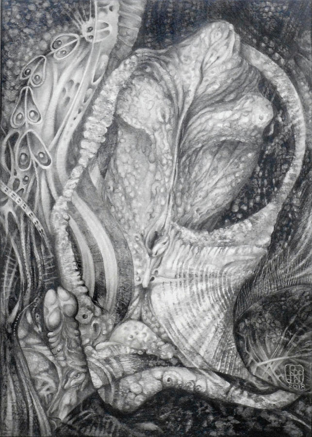 The Fernal Alien Plant Drawing by Otto Rapp