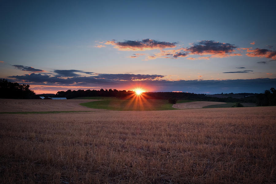 The Fields at Sunset Photograph by Mark Dodd