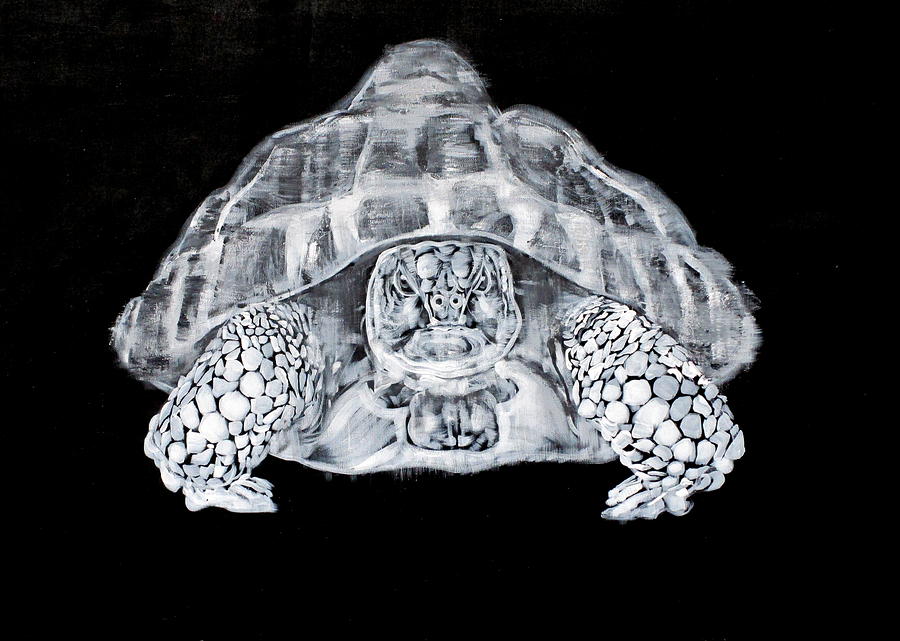 THE FIERY SPIRIT #turtle Painting by Fabrizio Cassetta