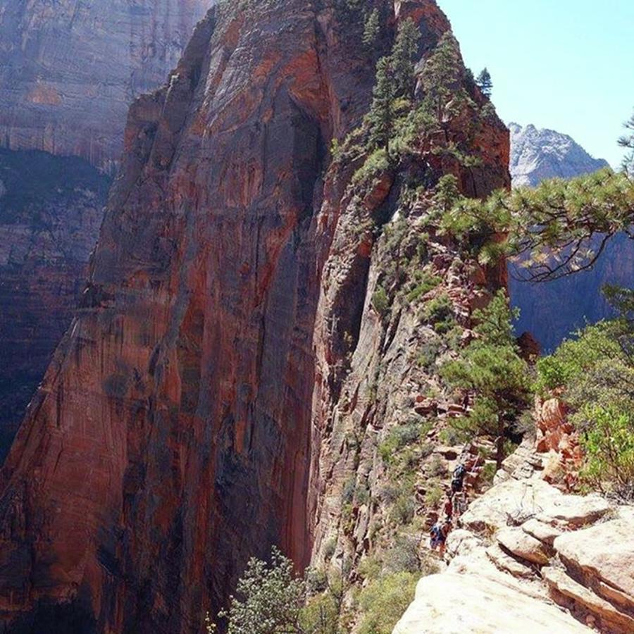 Hiking Photograph - The Final Spine Of #angelslanding by Patricia And Craig