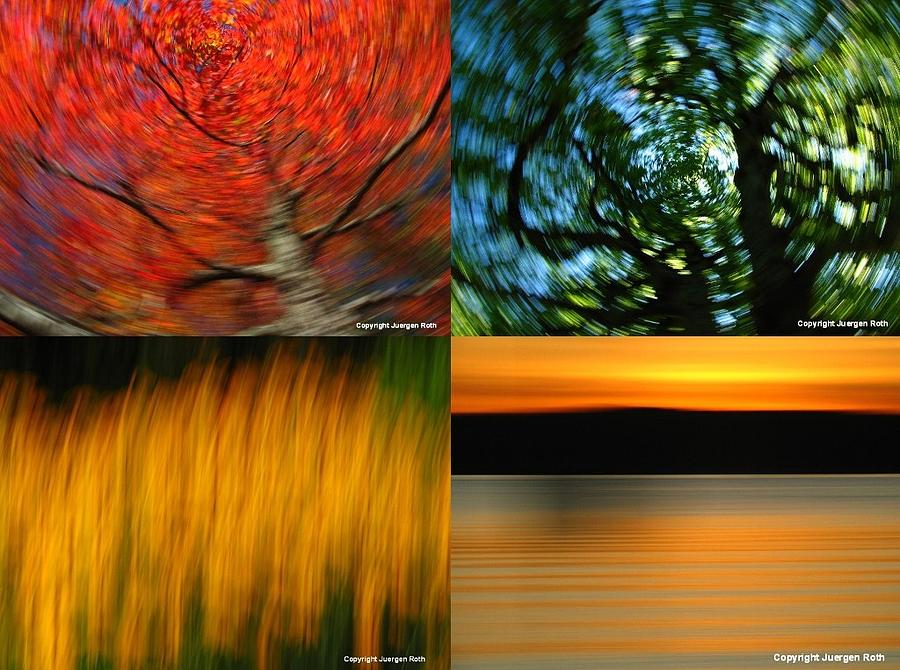 The Fine Art of Camera Panning Photograph by Juergen Roth