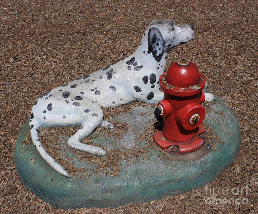 The Firemans Dog - Public Art Sculpture Photograph by Dora Sofia Caputo