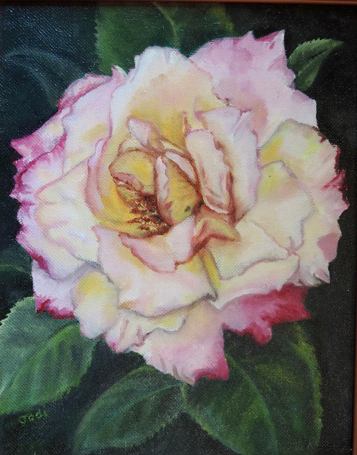 The First Rose Painting by Jodi Higgins