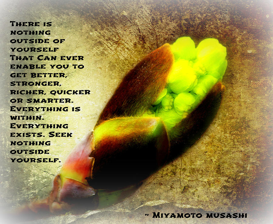 Nature Photograph - The First Stirrings Of Spring With Musashi Quote II by Aurelio Zucco