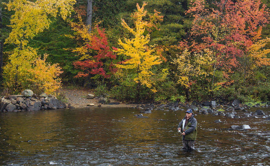 The Fish are Still Biting Photograph by Stephen Hobbs - Fine Art America