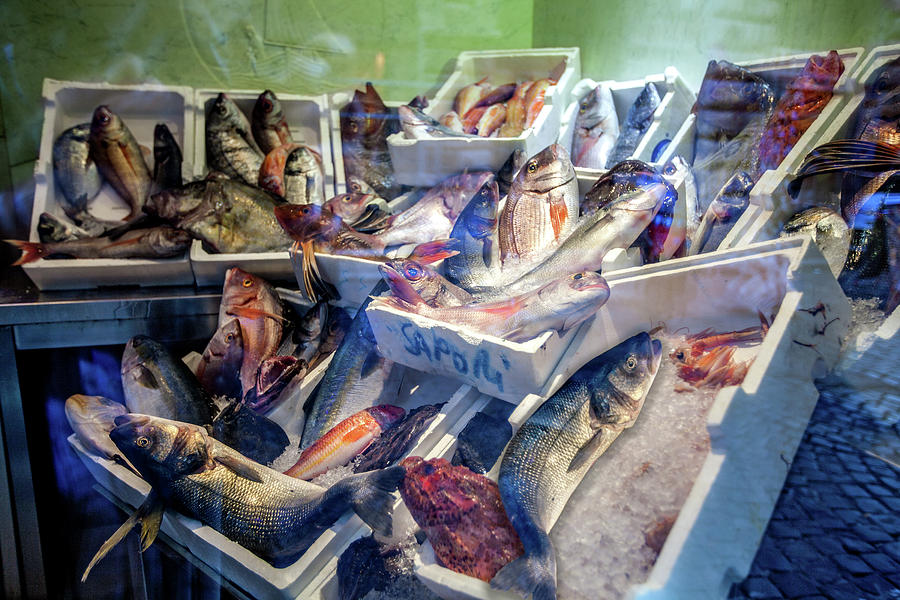 The Fish Market Photograph by Al Hurley