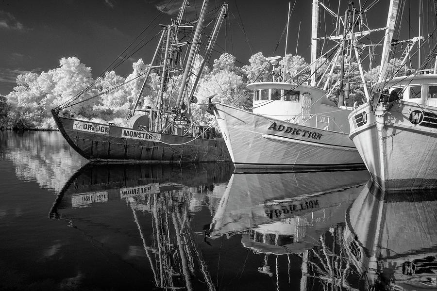 The fishing Fleet at Swan Quarter Photograph by Gordon Ripley