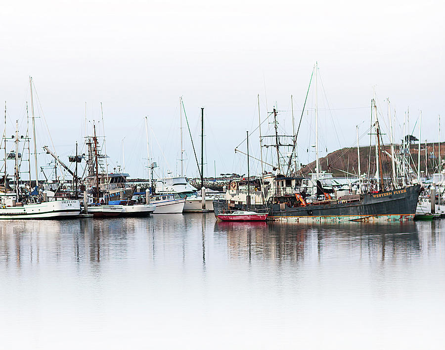 The Fishing Fleet Photograph by JoAnn Silva