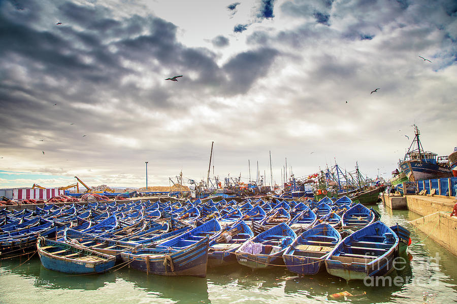 Sunset Photograph - The Fishing Fleet of Essaouira by Rene Triay FineArt Photos