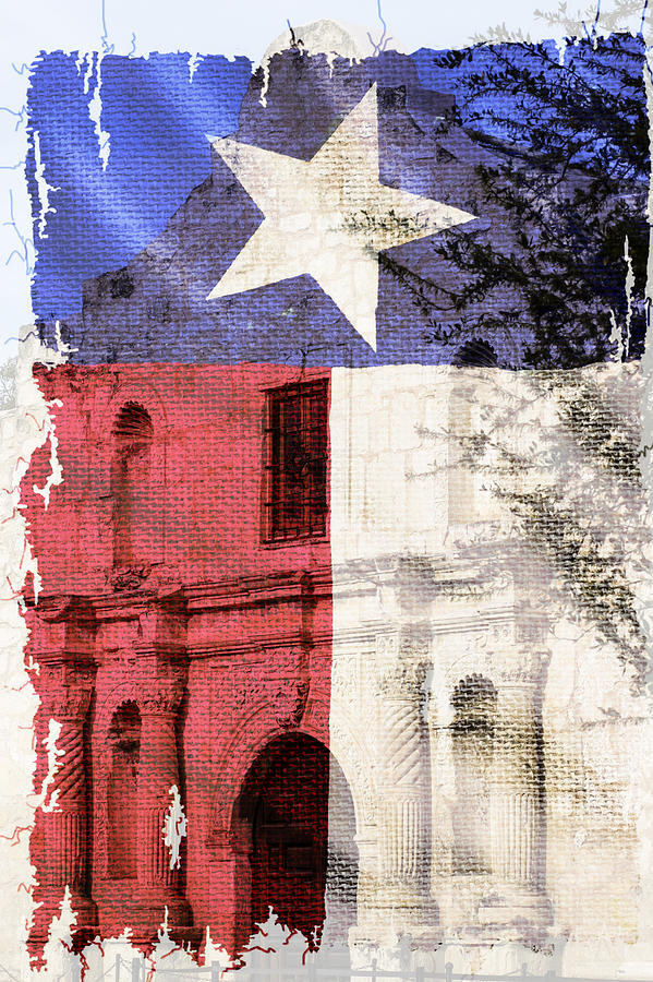 The flag and the Alamo Photograph by Pamela Joy Taylor