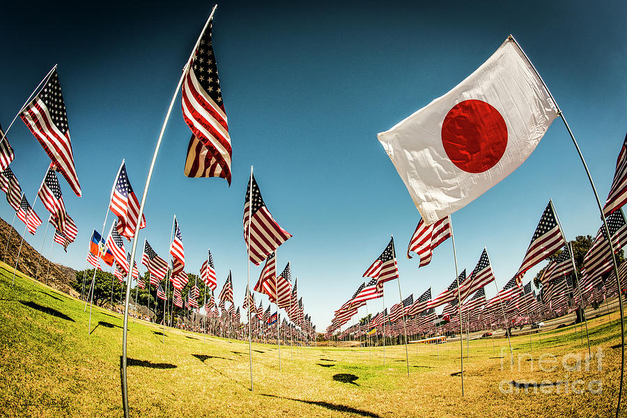 The Flag of Japan Photograph by Julian Starks