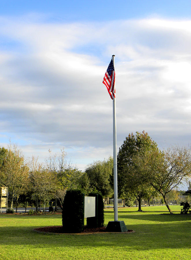 The Flag Pole in the Park  Photograph by Christopher Mercer