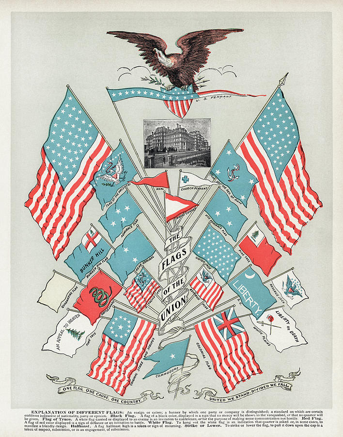 Admiral Drawing - The Flags of the Union by Unknown