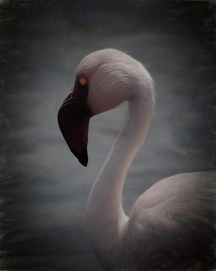 The Flamingo Digital Art by Ernest Echols