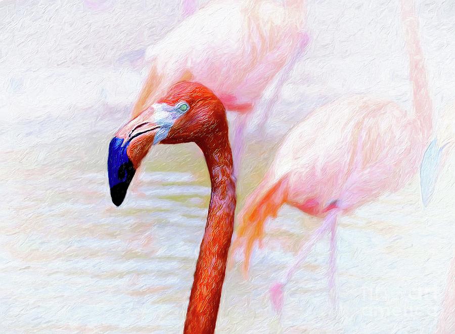 The Flamingo Photograph by John Kolenberg