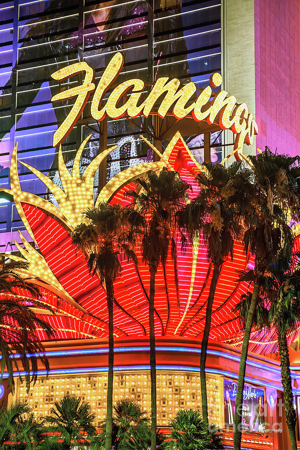The Flamingo Neon Sign and Palm Trees Photograph by Aloha Art