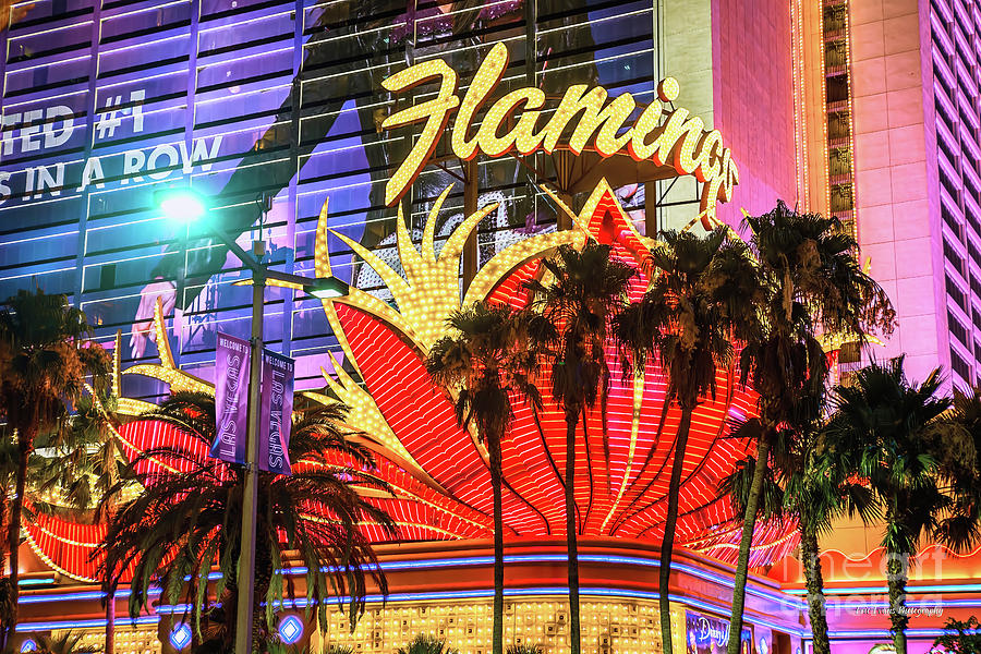 Las Vegas Photograph - The Flamingo Neon Sign and Palm Trees Wide by Aloha Art