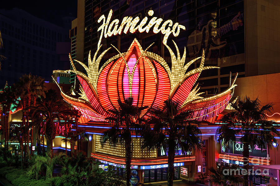 Las Vegas Photograph - The Flamingo Neon Sign at Night by Aloha Art