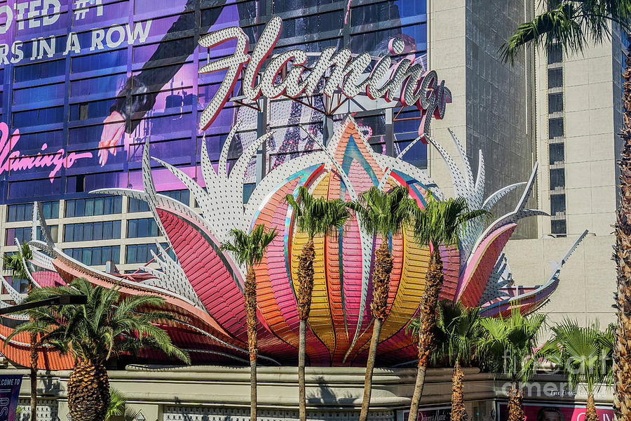 The Flamingo Sign and Palm Trees Wide Photograph by Aloha Art