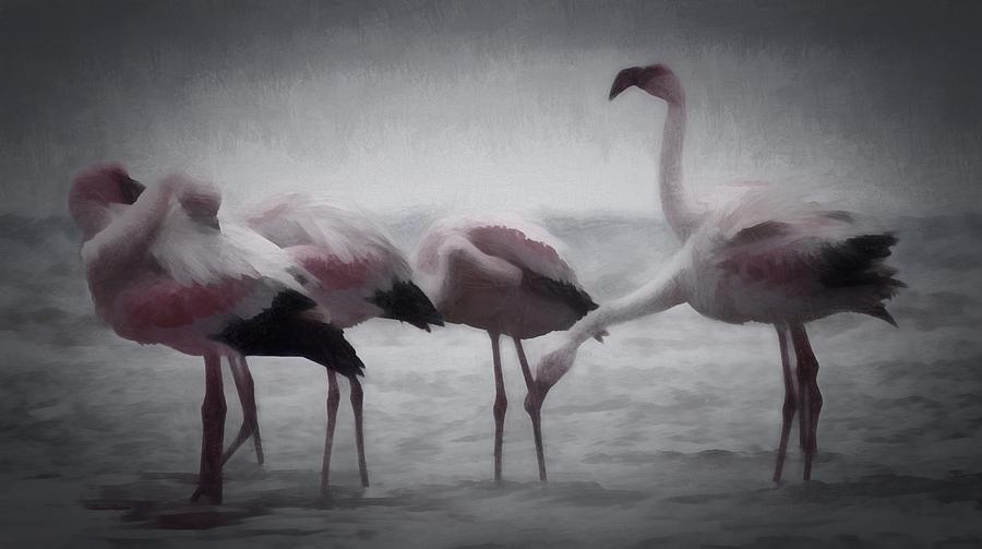 The Flamingos Digital Art by Ernest Echols