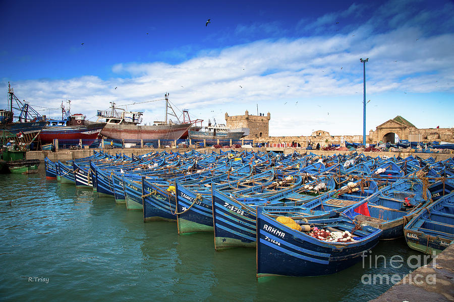 The Fleet of Essaouira Photograph by Rene Triay FineArt Photos