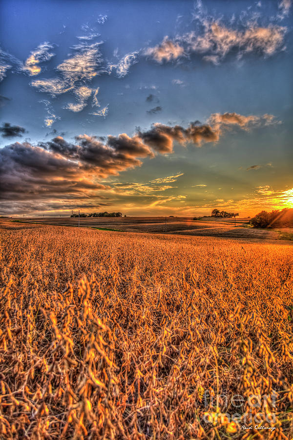The Fleeting Sunset Missouri Soybean Farming Art  Photograph by Reid Callaway