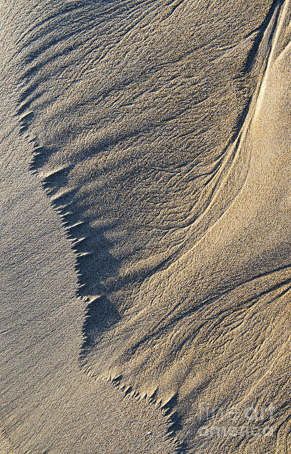 The Flight of Sand Photograph by Tim Gainey