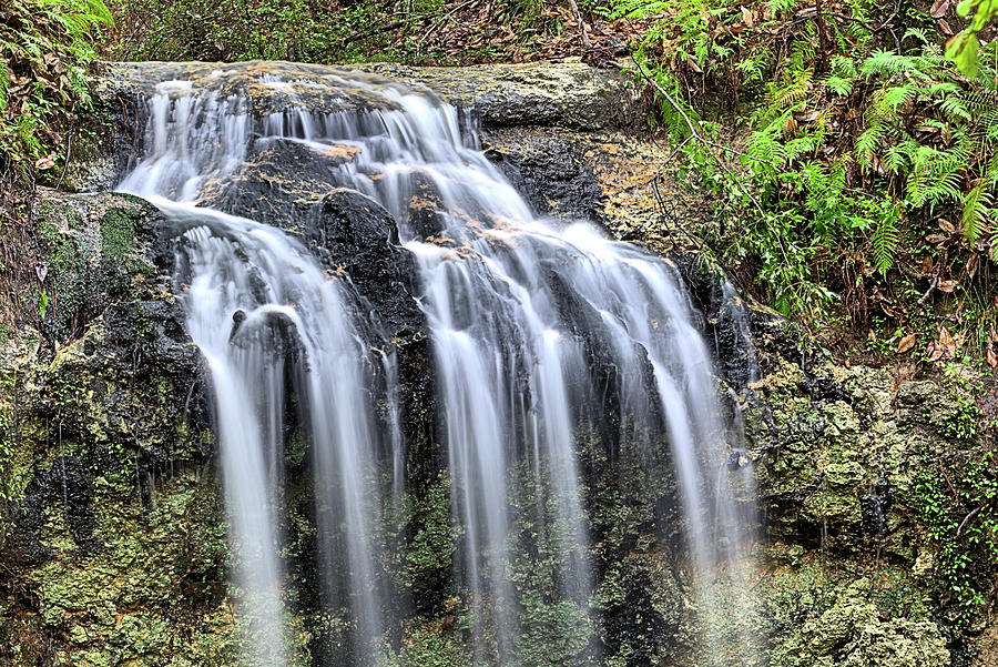 The Florida Waterfall Photograph by JC Findley