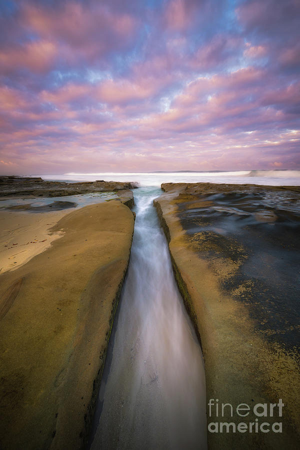 The Flow  Photograph by Michael Ver Sprill