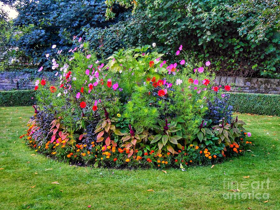 The Flower Bed in Pendle Photograph by Joan-Violet Stretch