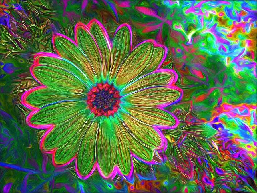 The Flower Of Oz Photograph by Daniel Arrhakis Pixels