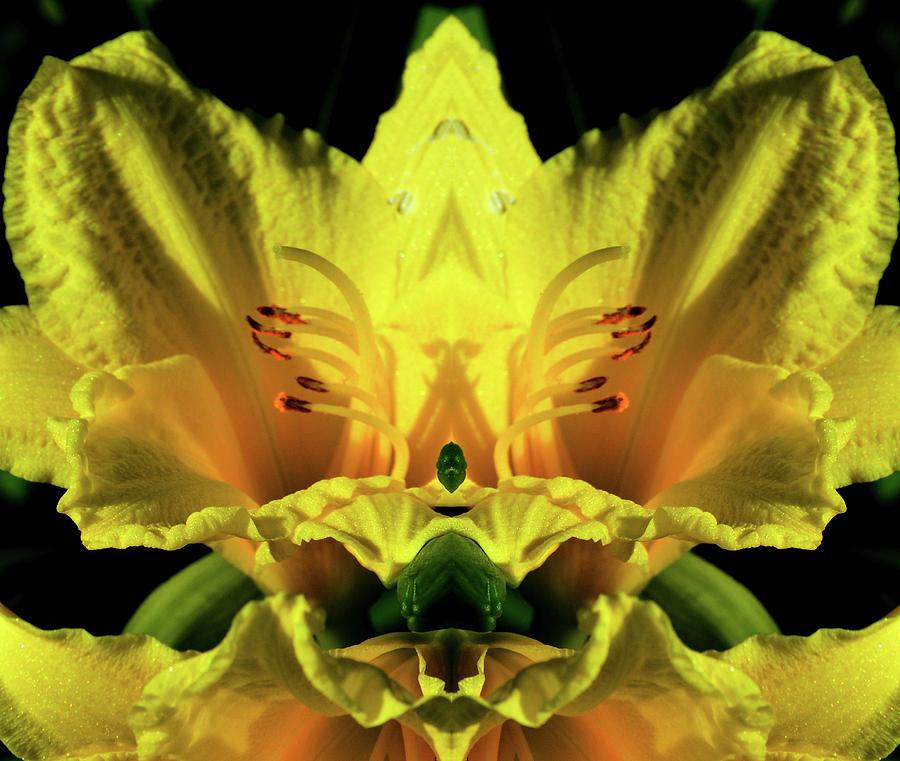 The Flower Throne Two  Digital Art by Lyle Crump