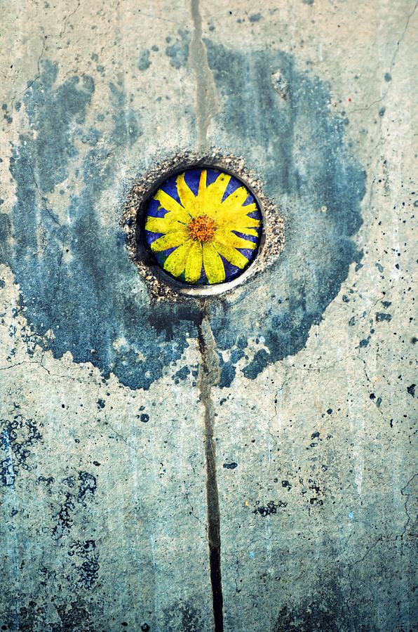 The Flower Within Photograph by Tara Turner - Fine Art America