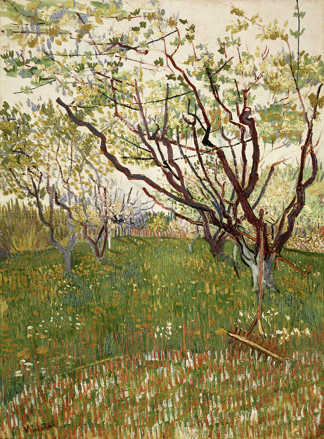The Flowering Orchard Painting by MotionAge Designs