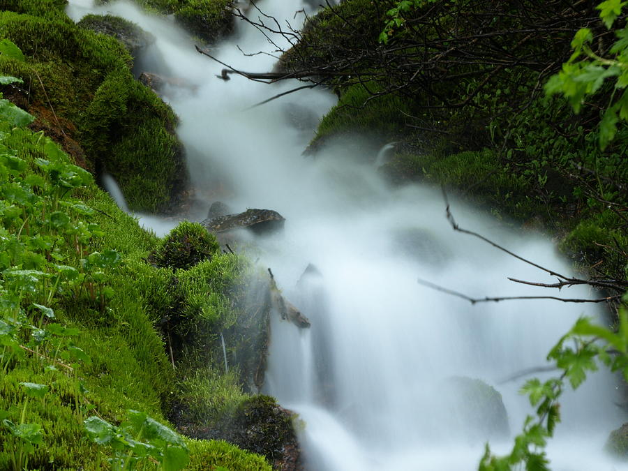The Flowing Brook Photograph by DeeLon Merritt