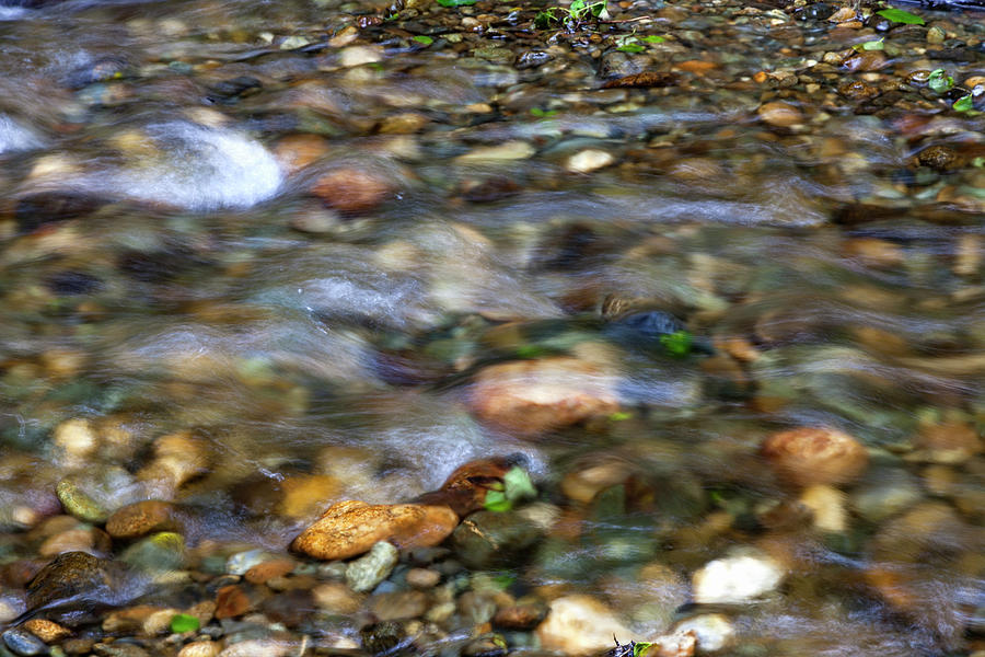 The Flowing Water Of Home Creek Photograph