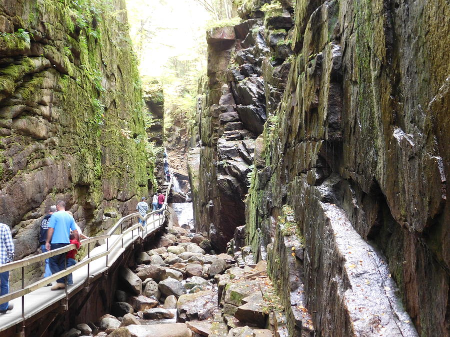The Flume Gorge Photograph by Catherine Gagne