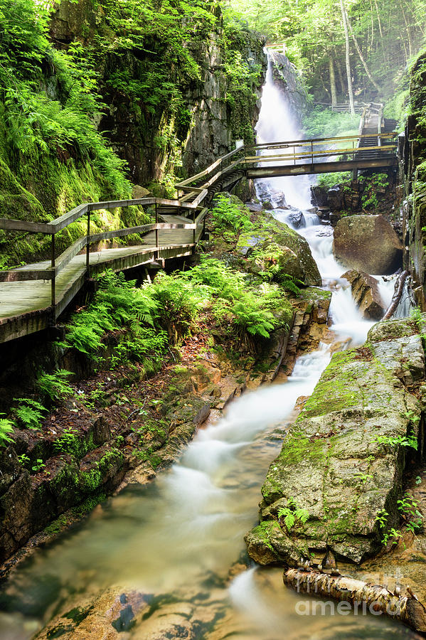 The Flume Gorge Lincoln New Hampshire Photograph by Dawna Moore Photography