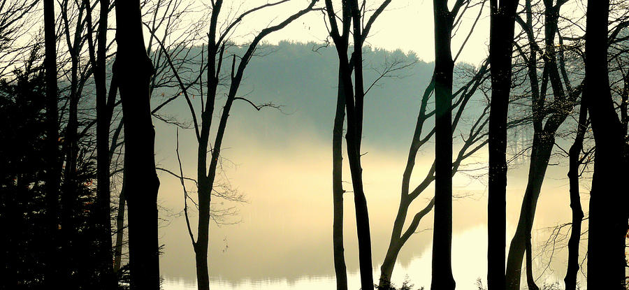 The Fog Digital Art by Aron Chervin