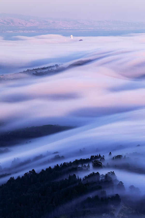 The Fog Days of Summer Photograph by Vincent James