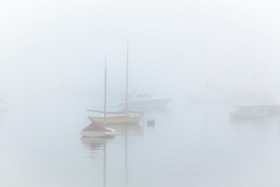 The Fog Photograph by Eddy Bernardo