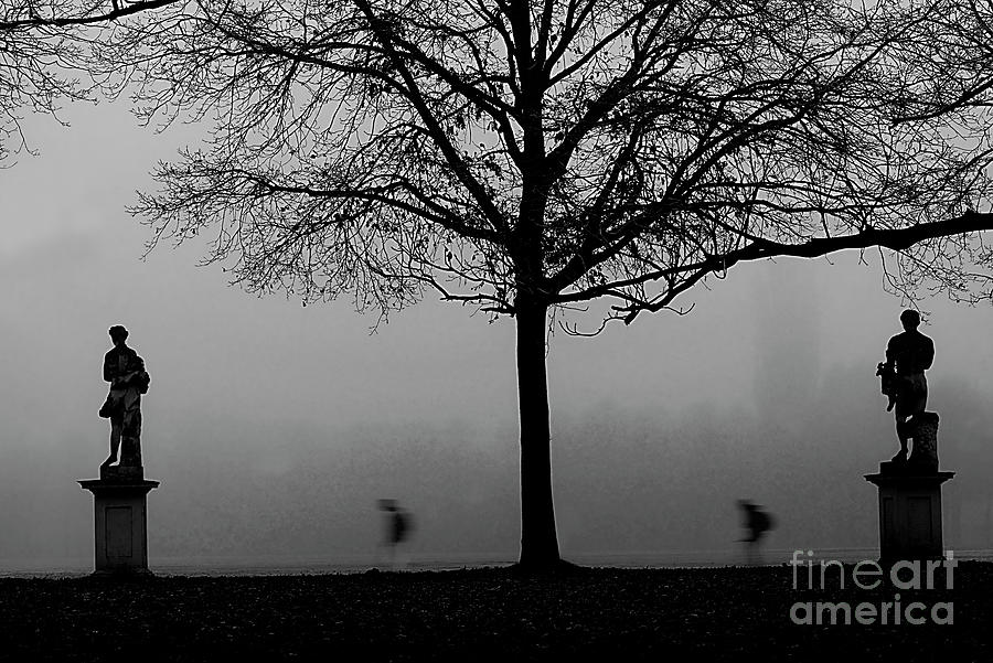The Fog In The Park. Photograph