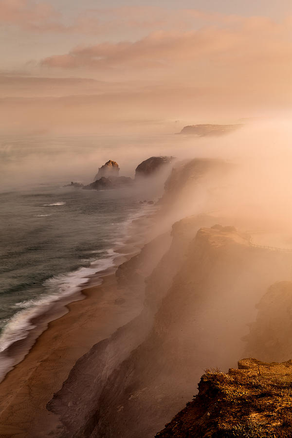 The Fog Photograph by Jorge Maia