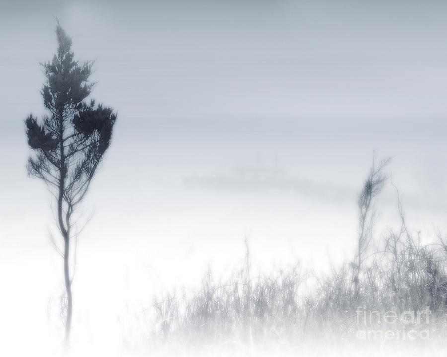 The Fog Photograph by Raymond Earley