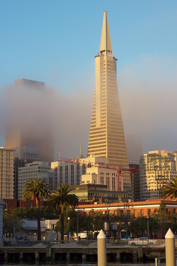 The Fog Rolls Behind The Transamerica Building Photograph by Dan Twomey