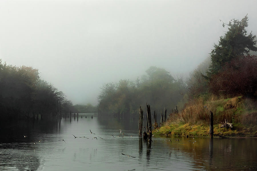 The foggy morning Photograph by Alex Lyubar